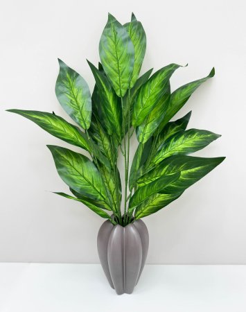 картинка Диффенбахия 7 веток от магазина KALINA