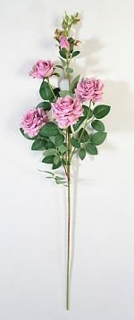 Ветка розы "Сфинкс" жимолость от магазина KALINA являющийся официальным дистрибьютором в России 