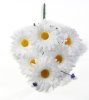 Ромашка "Белый ковер малая"