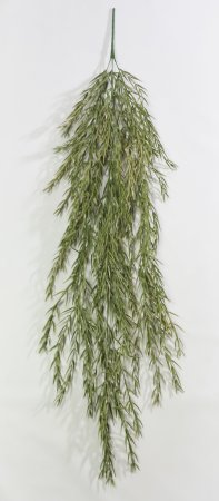 картинка Розмарин Осень от магазина KALINA