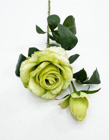 Роза "Булевард" зеленая