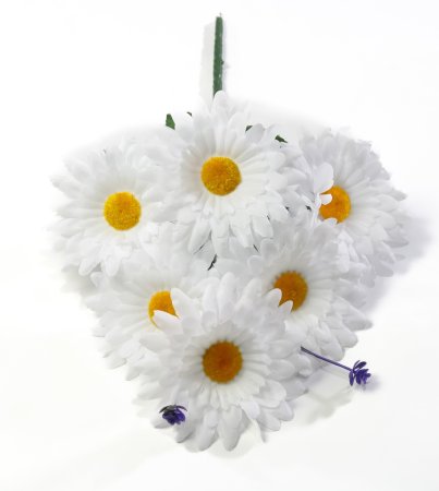 Ромашка "Белый ковер малая"