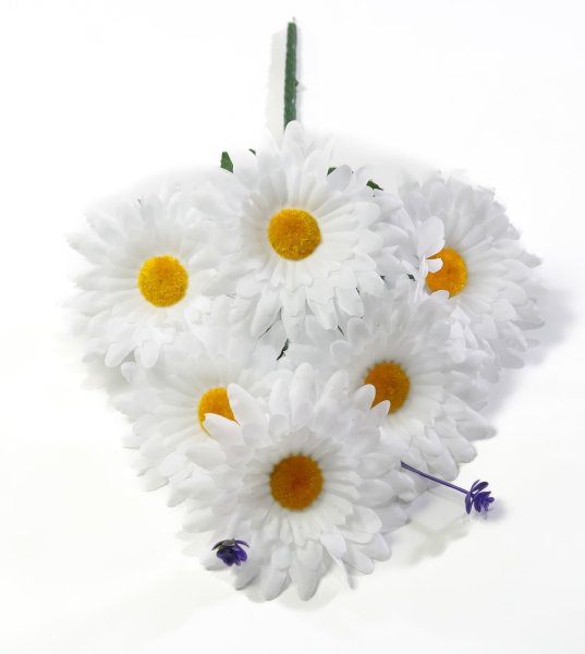 Ромашка "Белый ковер малая"