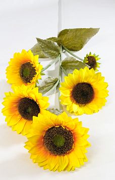 Ветка Подсолнуха 5 цветков от магазина KALINA являющийся официальным дистрибьютором в России 