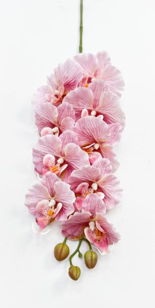 Орхидея "Биг Лип" розовая 9 цветков