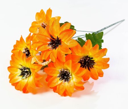 df271bf7e4f5a5e75d78157af23757e3