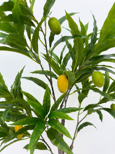 Куст манго 110 см БЕЗ КАШПО