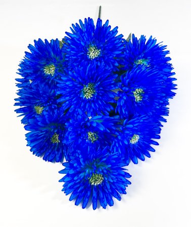 Астра "Супер гигант" 13 цветков