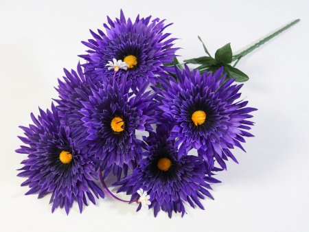 Астра Фокус малая 6 цветков