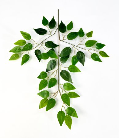 картинка Лист фикуса Амстрон от магазина KALINA