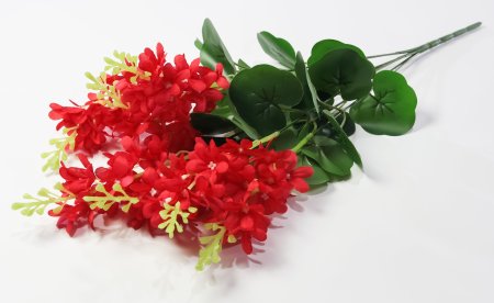 Дельфиниум