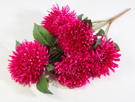 Ветка хризантем "Зембла" 5 цветков 2 бутона