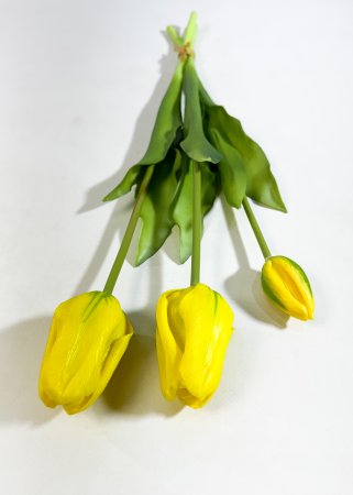 Тюльпан "Пепл Принц" желтый (2+1)