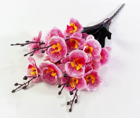 88608f42891e4ba83e4cd6de0f632212