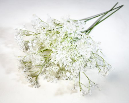 Гипсофила "Изящная" белая