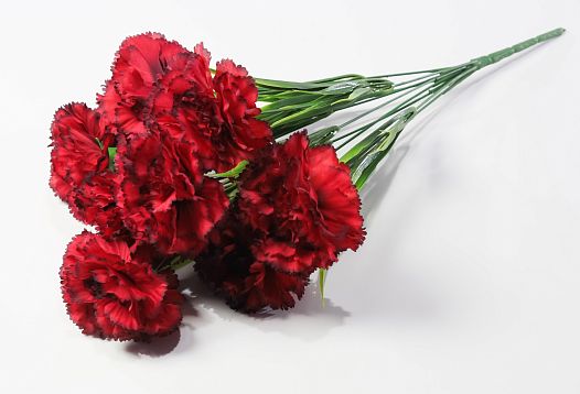 Букет гвоздик "Вишенка" 9 цветков от магазина KALINA являющийся официальным дистрибьютором в России 
