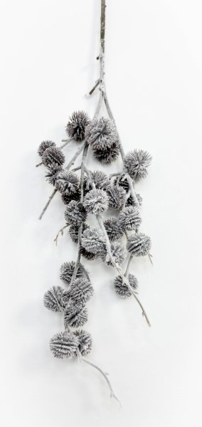 Репей в снегу