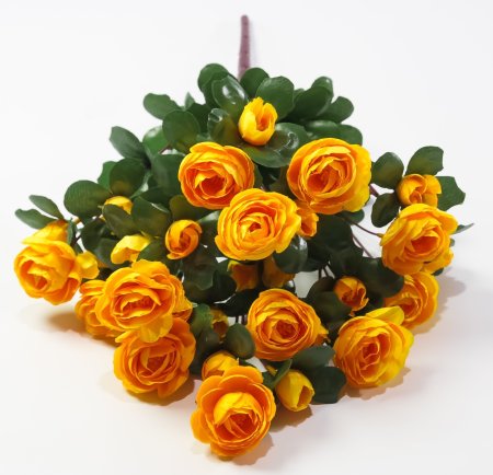 Ранункулюс 36 цветков
