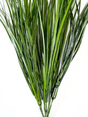 картинка Ветка осоки Природа Байкала (уценка неравномерный прокрас) от магазина KALINA