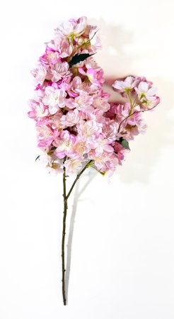 Ветка яблони "Мелба" розовая