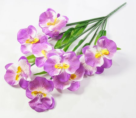Букет орхидеи 10 веток 10 цветков