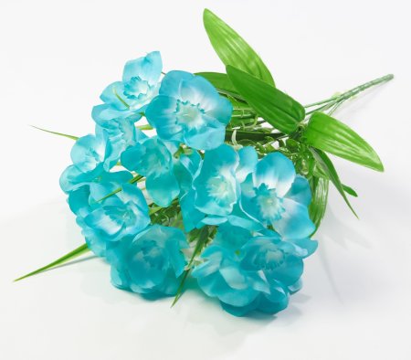 Нарцисс "Лига" 20 цветков