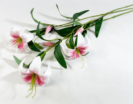 Лилия "Неженка" розовая