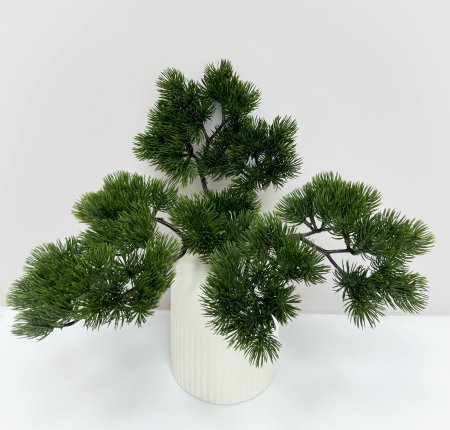 картинка Сосна бонсай темный от магазина KALINA