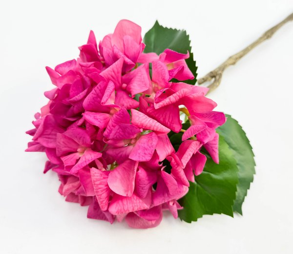 Гортензия «Малиновый сорбет»