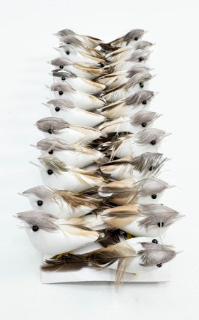 Птичка серая