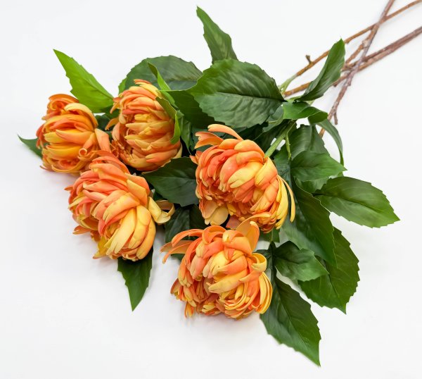 Хризантема ярко-оранжевая