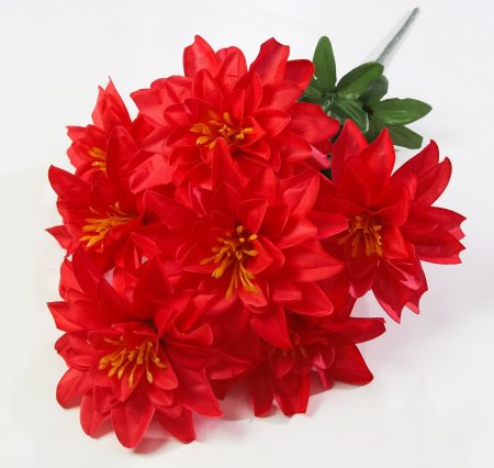 Георгин "Вилена" 7 цветков