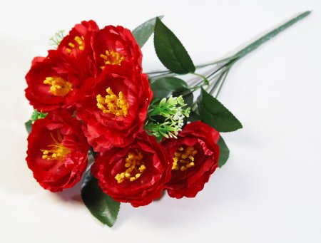 Букет пиона "Марусенька" 7 цветков