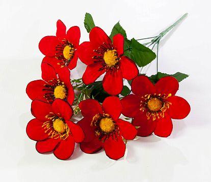 Бархатный георгин "Мини" 6 цветков от магазина KALINA являющийся официальным дистрибьютором в России 