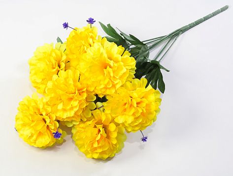 Шафран "Эпоха" 7 цветков от магазина KALINA являющийся официальным дистрибьютором в России 