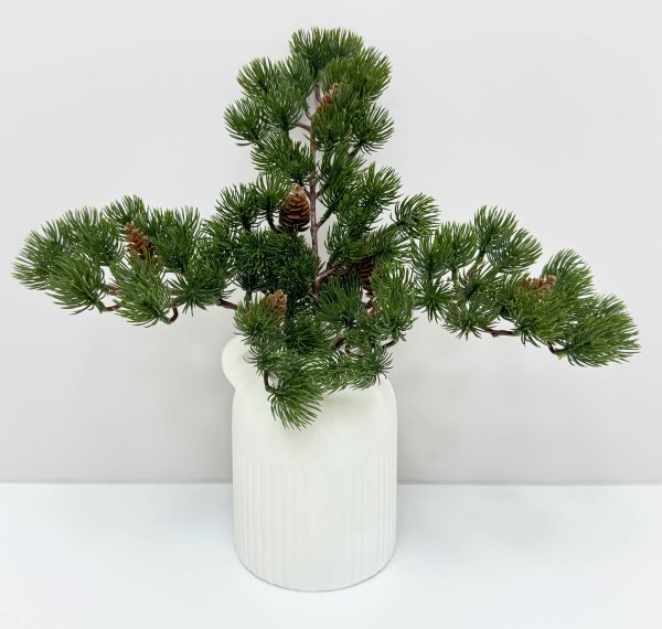 картинка Бонсай с шишками от магазина KALINA