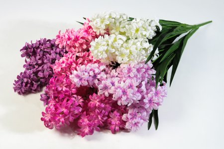 Гиацинт крупный 7 веток