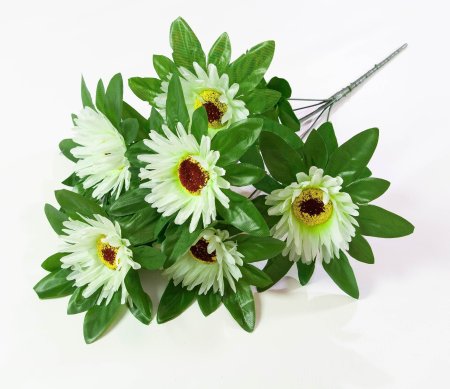 Астра "Титаник" 7 веток