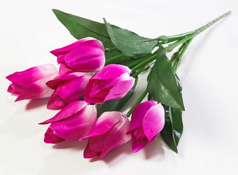 Тюльпан "Синичка" 7 цветков от магазина KALINA являющийся официальным дистрибьютором в России 
