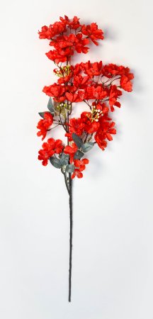 Сакура мелкопильчатая оранжевая