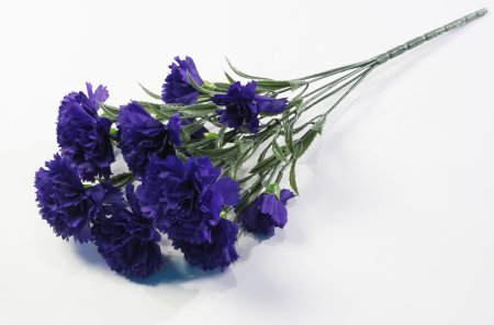 Букет гвоздик "Вечная память"