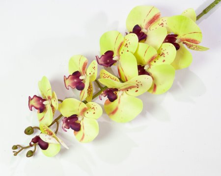 Ветка орхидеи 17 искусственная