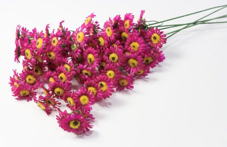 Ветка ромашек "Суприм"