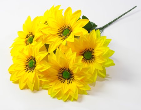 Георгин с зеленой тычинкой 6 цветков