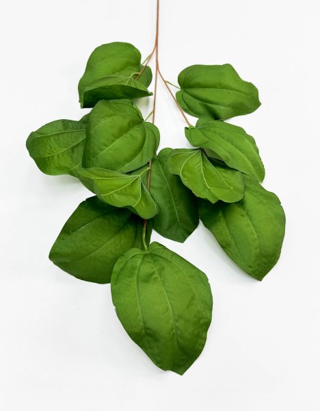 Ветка декоративная с крупным листом зеленая