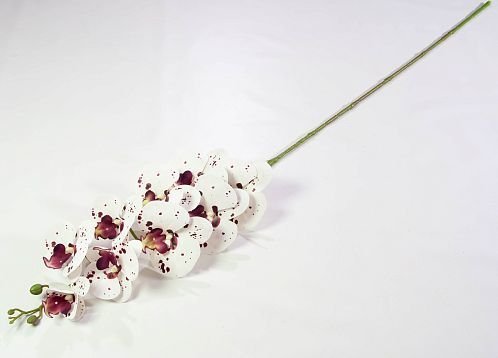 Ветка орхидеи 14 от магазина KALINA являющийся официальным дистрибьютором в России 