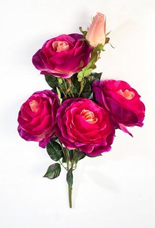 Ветка розы "Фан-фан" 4 цветка 1 бутон