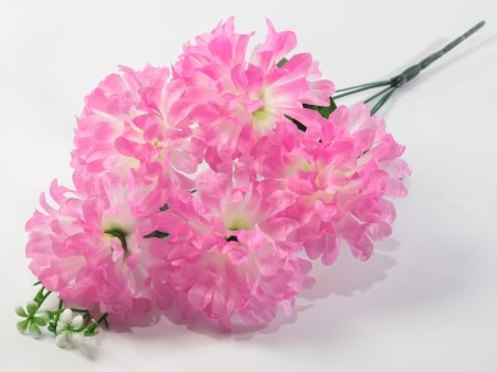 Хризантема "Жар-Птица" 5 цветков