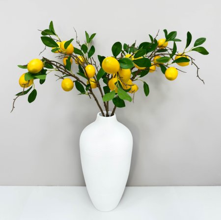 Ветка лимона 5 плодов