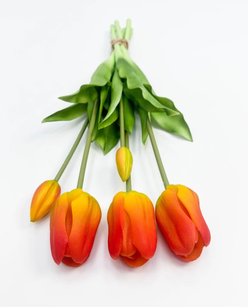 Тюльпан "Корона весны" оранжевый